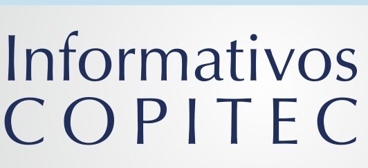 EL COPITEC PIDIÓ DISEÑAR UN PLAN ESTRATÉGICO DE TELECOMUNICACIONES CON PARTICIPACIÓN DE LAS CÁMARAS SECTORIALES